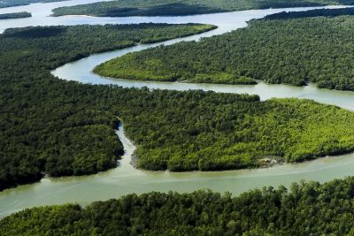 notícia: Governador do Pará vai ao Vaticano apresentar plano de compromissos com a Amazônia