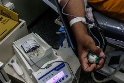 notícia: Hemopa informa funcionamento do serviço de coleta de sangue neste final de semana