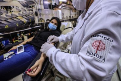 notícia: Hemopa inicia campanha em homenagem aos doadores de sangue no Pará