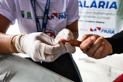 notícia: Sespa alerta para o controle de casos de malária