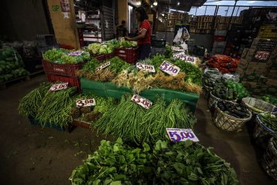 notícia: Ações do Estado garantem qualidade e segurança dos alimentos para famílias paraenses