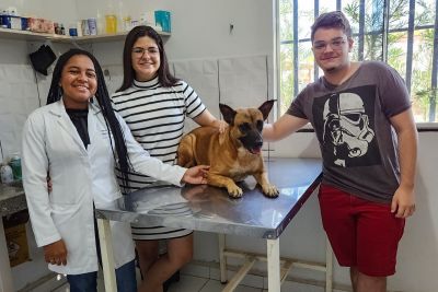 notícia: Atividade promove vivência profissional de calouros de Veterinária do 'Forma Pará' em São Félix 