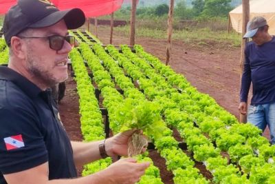 notícia: Em Parauapebas, Emater ensina técnica de hidroponia a produtores 