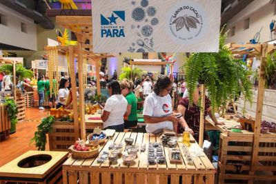 notícia: Pará consolida imagem de destino turístico doméstico e internacional no ano de 2023