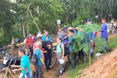notícia: Ideflor-Bio autoriza coleta da castanha-do-pará na Floresta Estadual do Paru