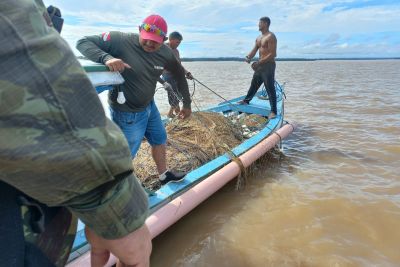 notícia: Operação conjunta coíbe pesca predatória no Lago Grande de Monte Alegre