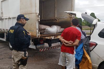 notícia: Carga de camarão imprópria ao consumo é apreendida em Ipixuna do Pará