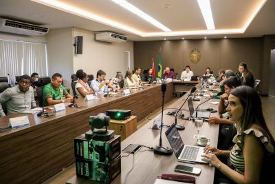 notícia: Comitê Gestor do Clima discute novas metas no âmbito do Plano Estadual Amazônia Agora