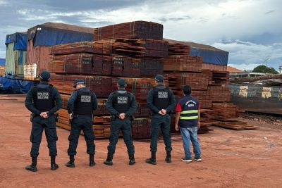 notícia: Equipe da Sefa apreende em portos de Santarém mais de 107 m³ de madeira