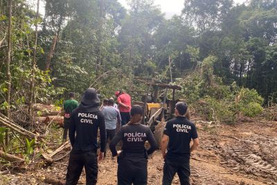 notícia: Polícia Civil apreende em Tomé-Açu veículos e motoserras utilizados em extração ilegal de madeira