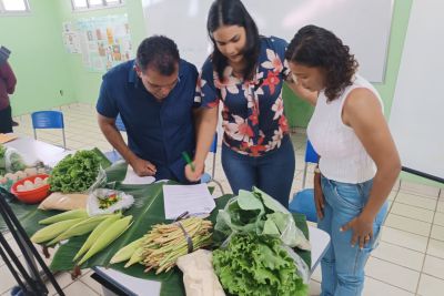 notícia: Com apoio da Emater, agricultoras fornecem R$ 1 milhão em alimentos à merenda escolar 
