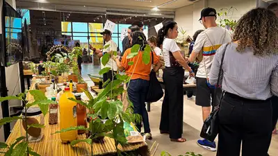 notícia: Uepa abre sala no Parque de Bioeconomia expondo pesquisas e saberes amazônicos   