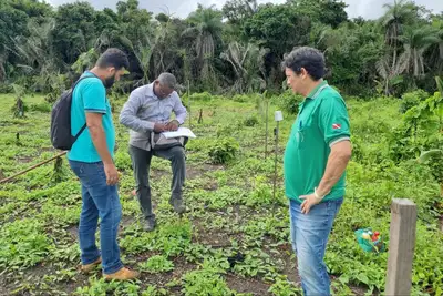 notícia: Emater incentiva empreendimentos quilombolas em Santarém, no oeste estadual