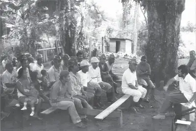 notícia: No Pará, Emater completa 60 anos de incentivo à inovação na agricultura familiar