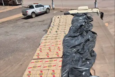 notícia: Equipe da Sefa apreende mais de 33 mil garrafas de cachaça em Novo Progresso