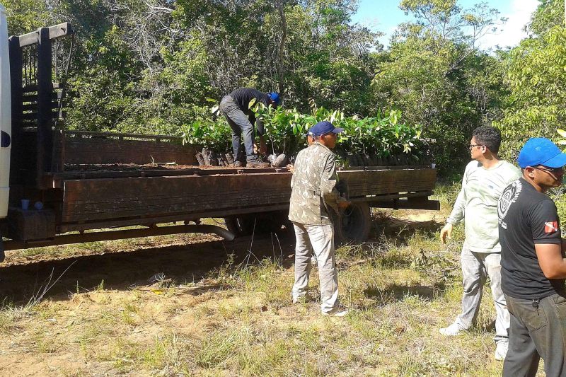 notícia: Ideflor-Bio realiza ação de reflorestamento no Parque Estadual de Monte Alegre