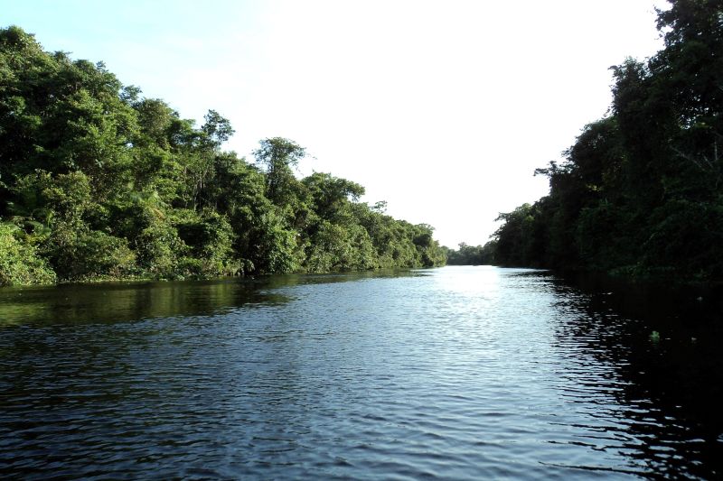 notícia: Ideflor-Bio fará consulta prévia junto a comunidades do Parque Estadual Charapucu