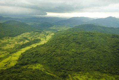 notícia: Estado define plano de ação integrado para regularização ambiental e rural 