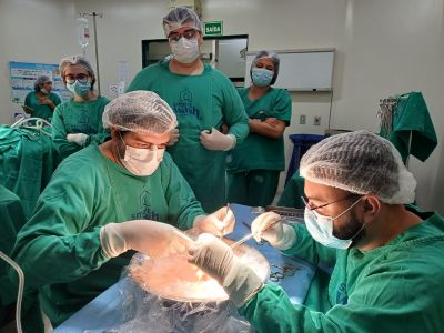 notícia: Regional de Santarém é referência em transplantes renais no oeste paraense