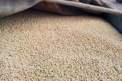 notícia: Operação conjunta da Sefa e PRF apreende nove toneladas de soja em grãos