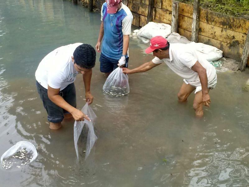notícia: Sedap vai apoiar a expansão da piscicultura em Parauapebas