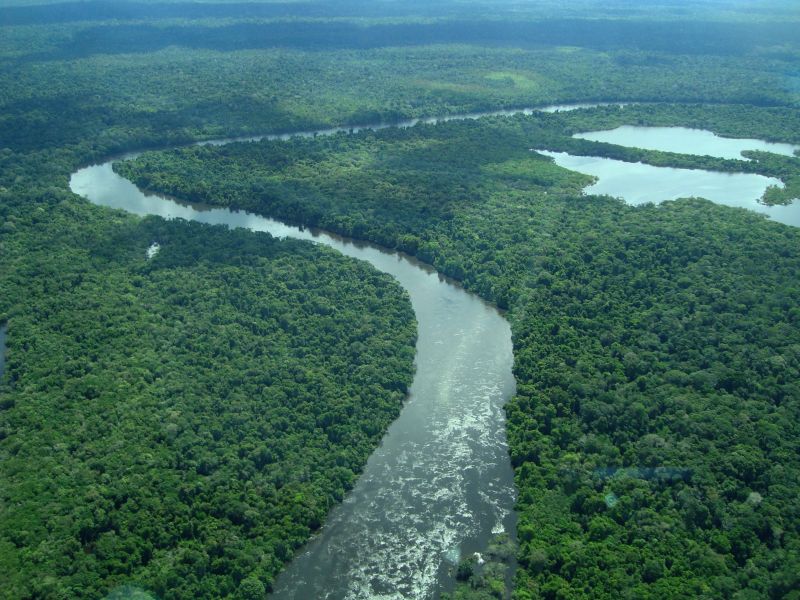notícia: Pará comemora avanços no Dia Mundial do Meio Ambiente