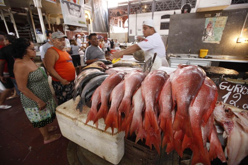 notícia: Governo publica esta semana decreto proibindo a saída de pescado do Estado