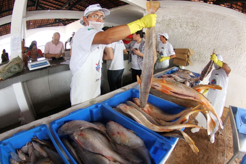 notícia: Feira do Pescado encerra primeiro dia com a venda de 50 toneladas na RMB