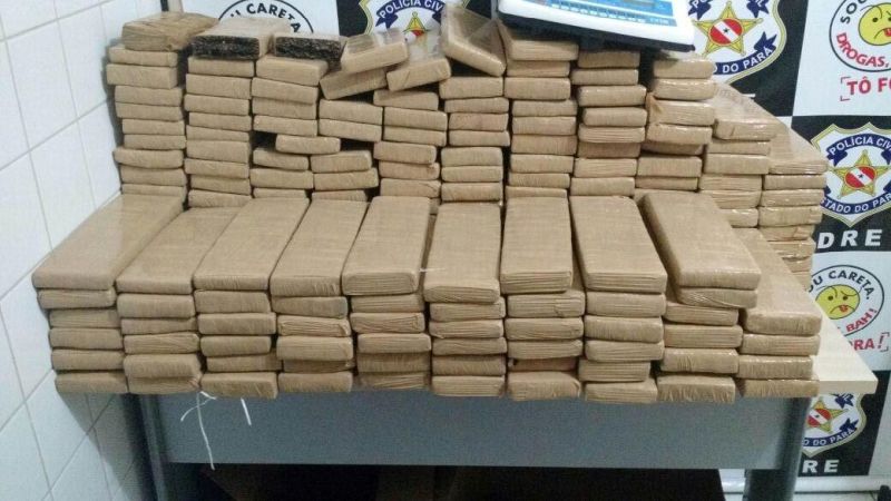 notícia: Polícia Civil apreende mais de 400 quilos de drogas em menos de um mês