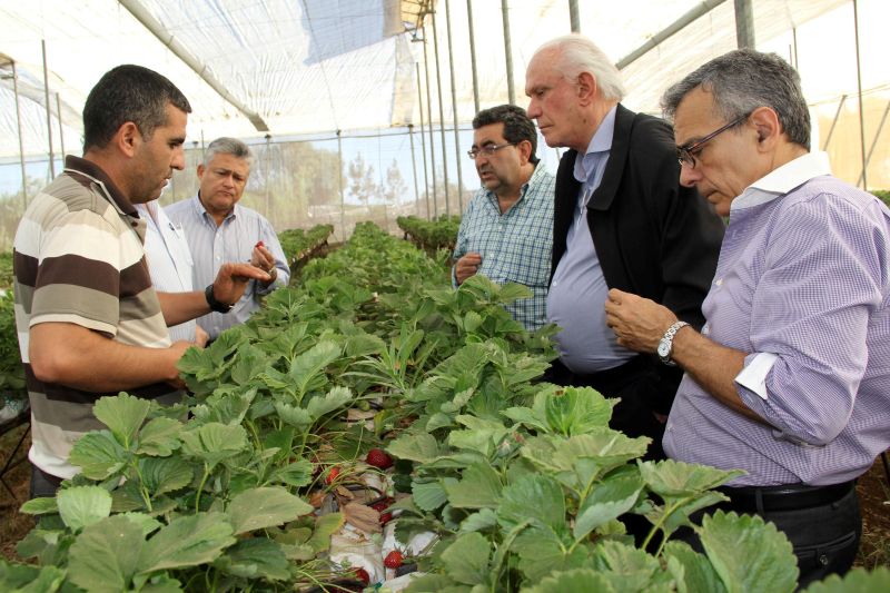 notícia: Parceria com grupo argelino abre oportunidades ao setor produtivo paraense 