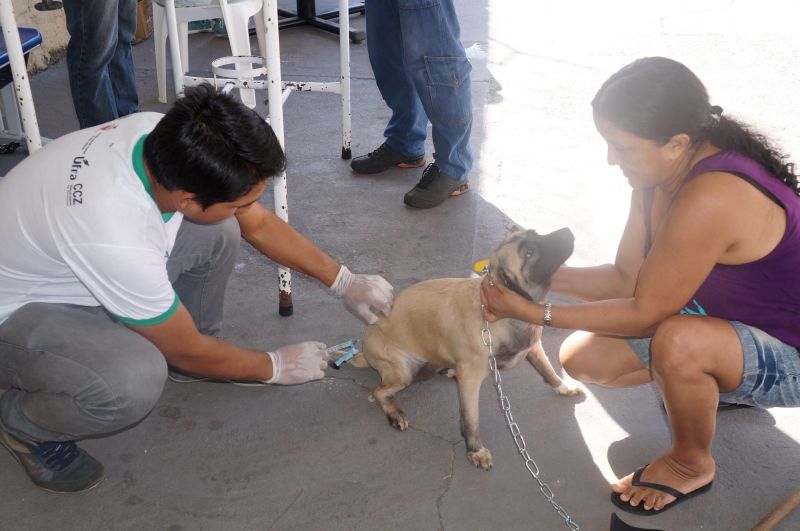 notícia: Ação atende animais domésticos na sede da Dema, em Belém