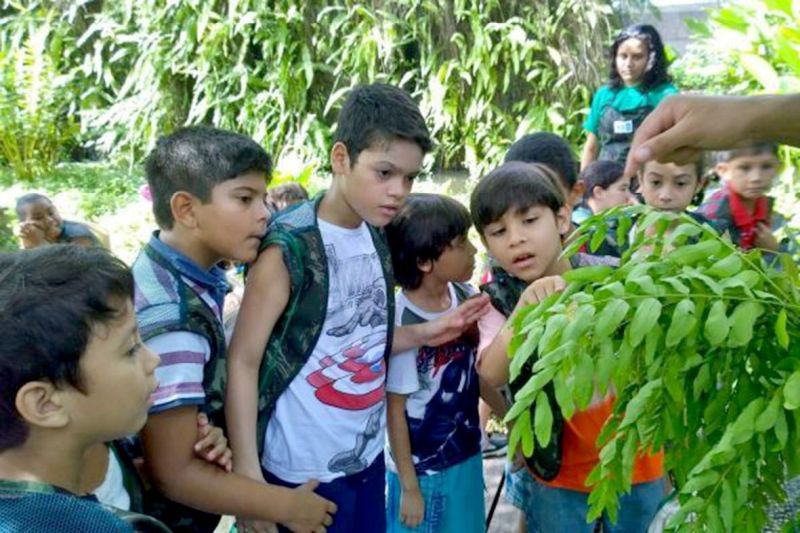 notícia: Educação ambiental é o foco da programação de julho do Mangal