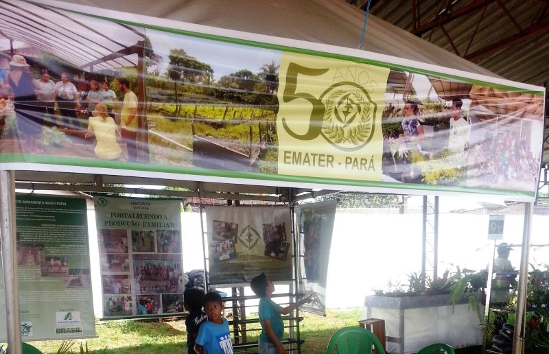 notícia: Agricultores familiares vendem produtos durante feira em Monte Alegre