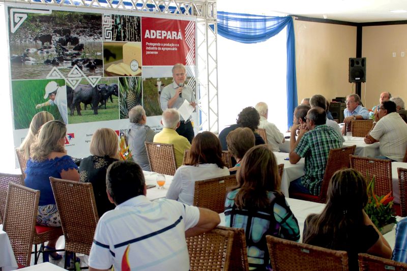 notícia: Campanha de erradicação da febre aftosa no Marajó começará em 15/08