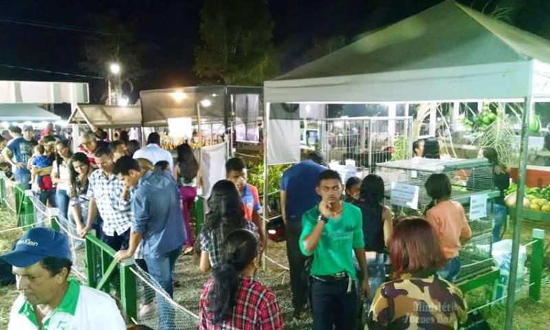 notícia: Emater mostra atividades na Expoalta em Altamira