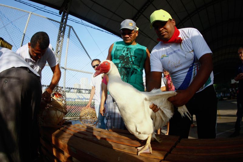 notícia: Venda de patos vivos da Susipe é sucesso em Feirão do Círio