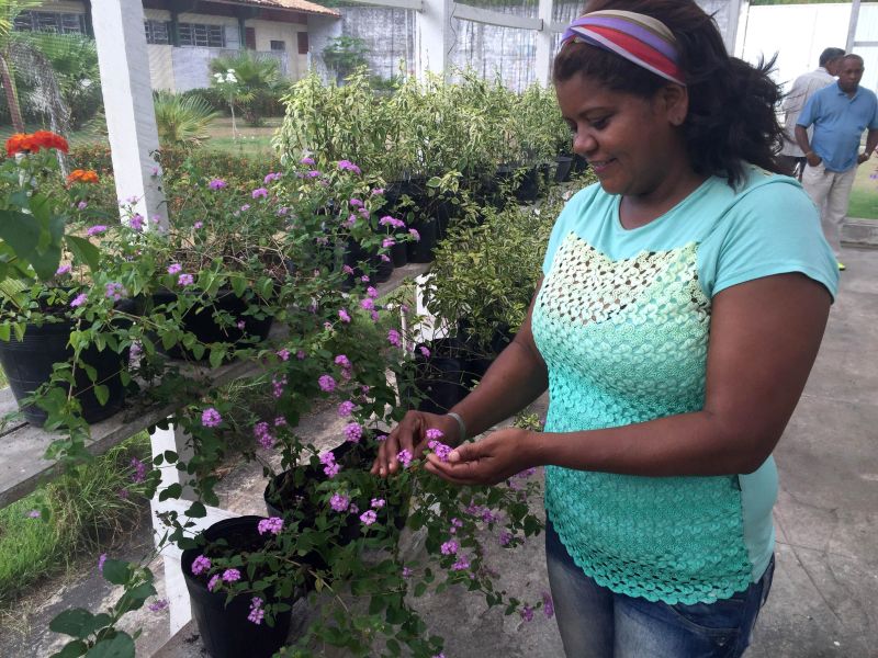 notícia: Emater, Nac e Ceasa promovem cursos do Projeto Cultivando Flores e Vida
