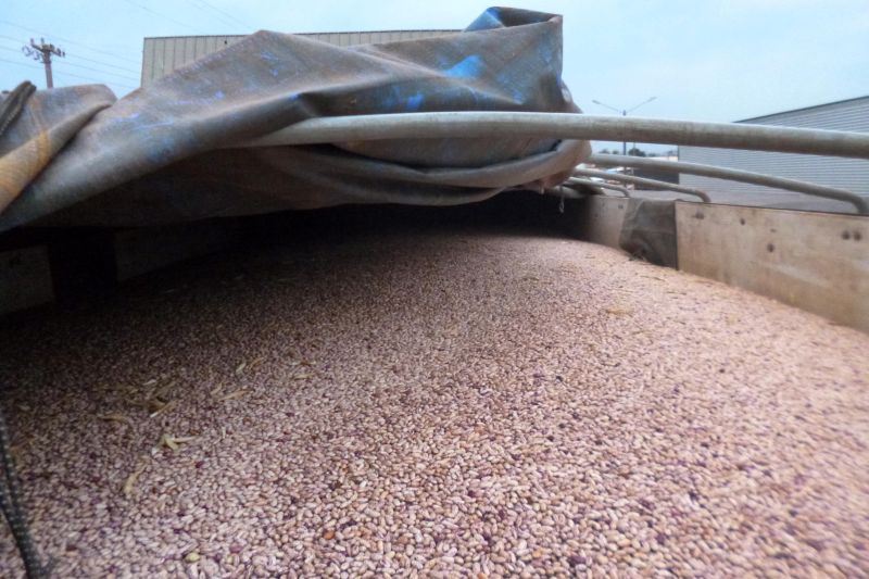 notícia: Sefa apreende 49 toneladas de feijão na localidade de Itinga