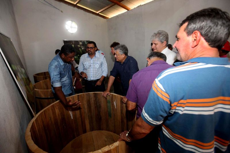 notícia: Produção de cacau em Medicilândia consolida o Pará como 2º produtor do país