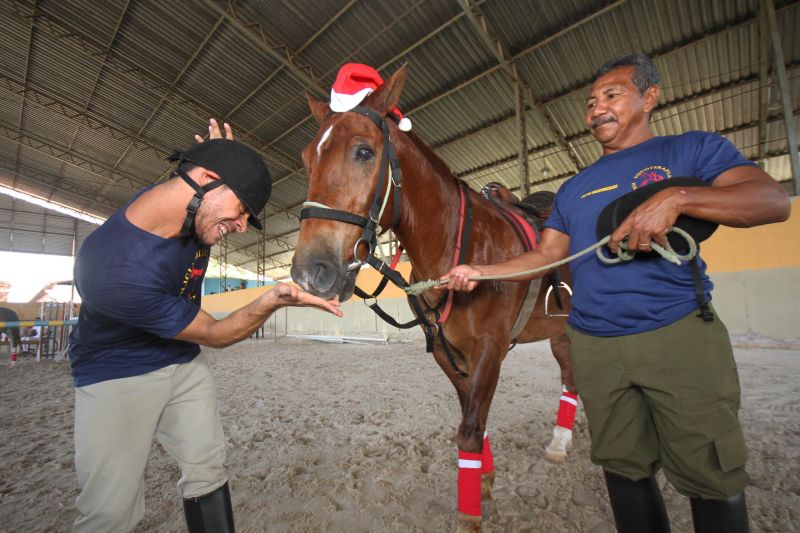 notícia: Cavalos utilizados no Centro de Equoterapia da PM ganham festa de Natal