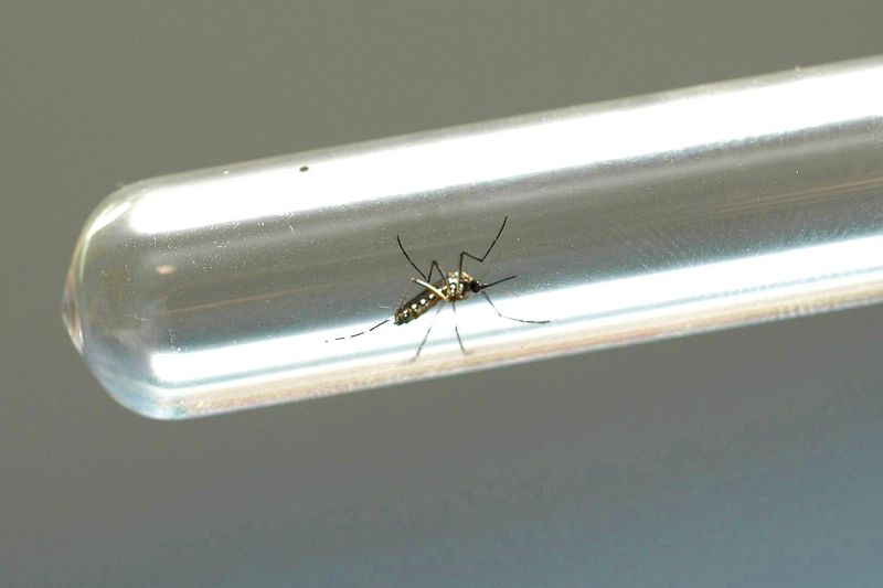 notícia: Sespa apresenta novos números da dengue, chikungunya e zika no Pará