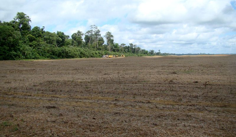 notícia: Adepará vai fiscalizar período de vazio da soja no Pará