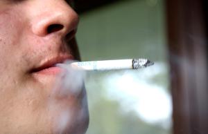 notícia: Belém receberá exposição sobre controle do tabaco no Brasil
