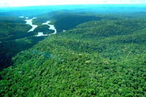 notícia: Emater e ICMBio atuarão em áreas de conservação de Santarém