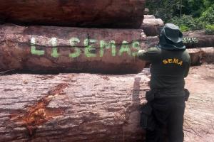notícia: Pará aposta no conhecimento estratégico para fiscalização ambiental