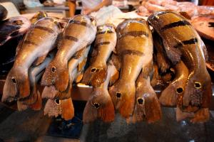 notícia: Decreto proibindo saída de pescado deve entrar em vigor no dia 27