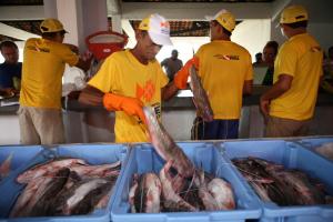 notícia: Feira do Pescado garante o abastecimento na Semana Santa