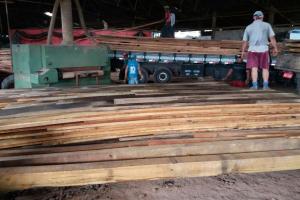 notícia: Operação flagra e apreende madeira ilegal em Jacundá