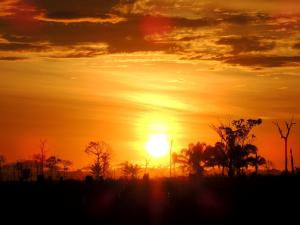 notícia: Avança debate sobre regularização fundiária na APA Triunfo do Xingu