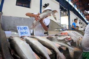 notícia: Decreto proíbe a saída de pescado durante a Semana Santa